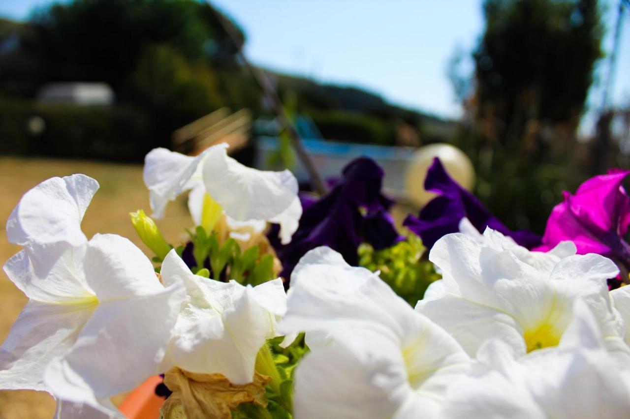 B&B Fontanelle Alviano Εξωτερικό φωτογραφία